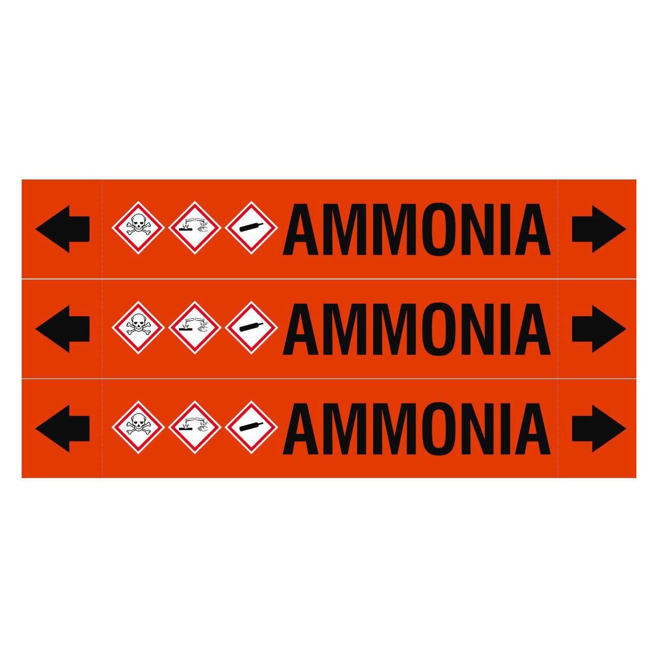 Brady ASME - Rohrmarkierer - Ammonia (ASMEPM-37X230MM-AMMONIA)