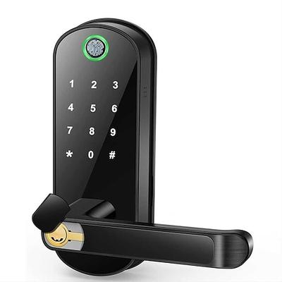 Intelligentes 5-in-1-Türschloss mit Griff, biometrischer Technologie, Speicherfunktion
