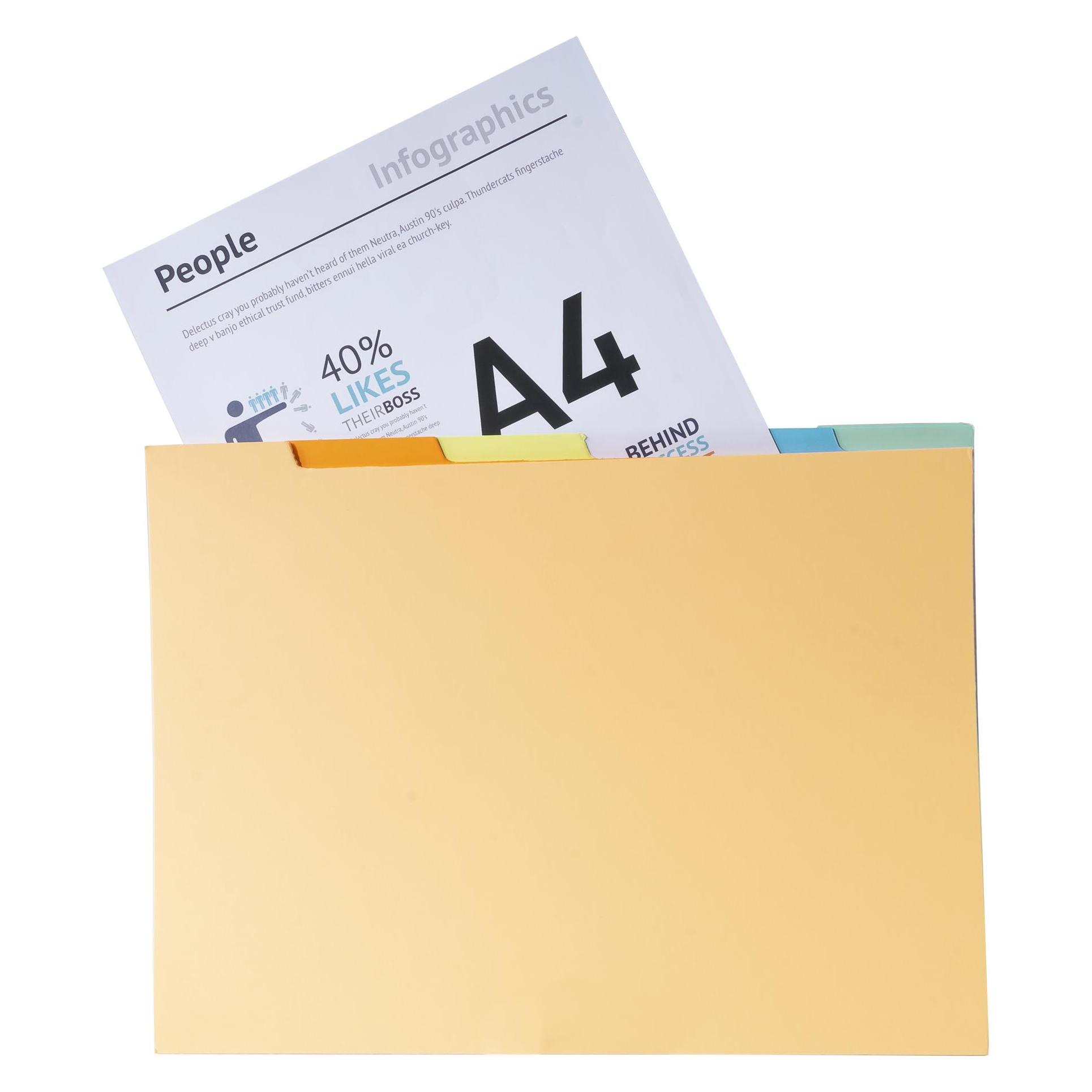 Exacompta Verzeichnis mit Unterteilungen für Sammelmappe A4 (A4, 10x) (337000E)