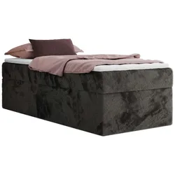 BOXBETT ZERO 90/200 - Dunkelgrau Plüsch - H4 - Topper Visco