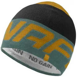 Dynafit Radical Beanie Mütze atlantic