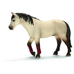 schleich® 13706 Schulpferd
