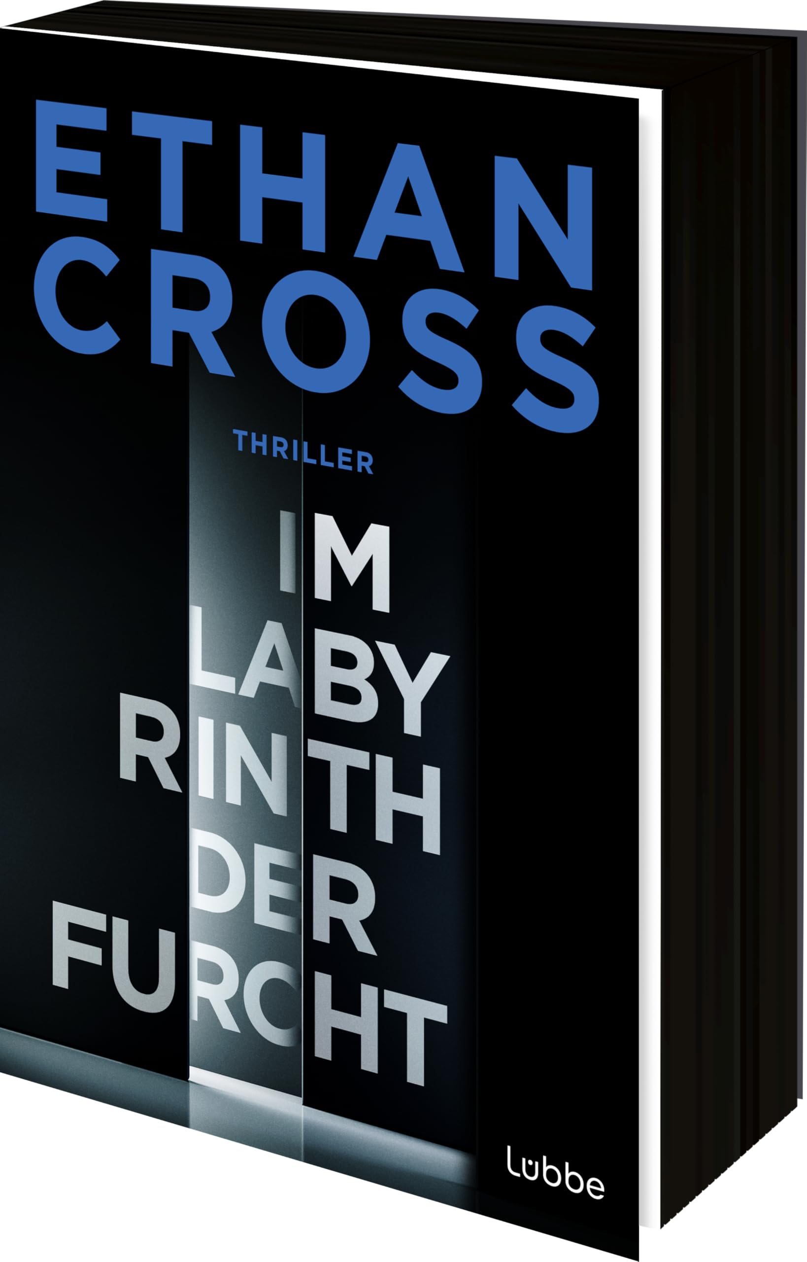 Ethan Cross - Im Labyrinth der Furcht: Thriller. Ein neuer Francis-Ackerman-jr-Thriller vom Bestseller-Autor (Ein Ackerman-Thriller. Die HÜTER-Reihe, Band 2) - Preis vom 09.10.2026 07:28:09 h