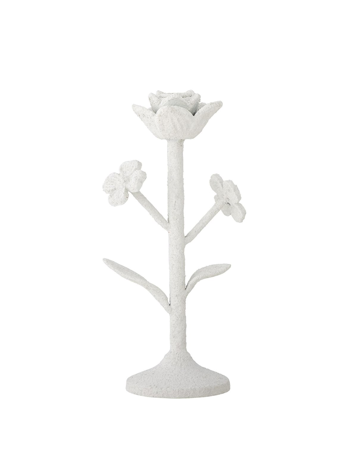Creative Collection Ranin
