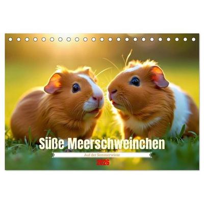 Süße Meerschweinchen (Tischkalender 2026 DIN A5 quer), CALVENDO Monatskalender