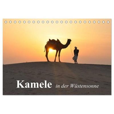 Kamele in der Wüstensonne (Tischkalender 2027 DIN A5 quer), CALVENDO Monatskalender