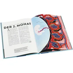 Ein neues Leben entsteht, Kinderbücher von Hélène Druvert