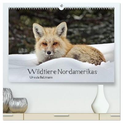 Wildtiere Nordamerikas (hochwertiger Premium Wandkalender 2026 DIN A2 quer), Kunstdruck in Hochglanz