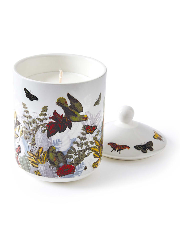CXL by Christian Lacroix Duftkerze "Jardin D'hiver - Figuier", 315 g - onesize