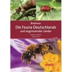 Brohmer - Die Fauna Deutschlands und angrenzender Länder, Ratgeber von Matthias Schaefer, Stefan Scheu