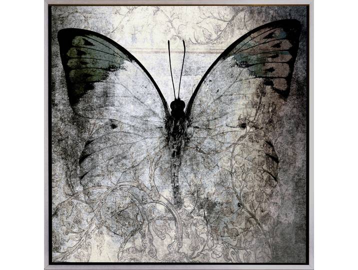 Leinwandbild QUEENCE Butterfly , schwarz (farbe rahmen: silber, farbe bild(er): schwarz), B:50cm H:50cm T:2cm, Canvas, Holzrahmen, Bilder, Leinwandbild, mit einem Schattenfugenrahmen veredelt