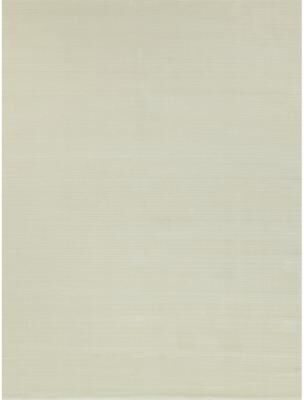 Exquisite Rugs Pavia Modern handloomed Silky Nylon Beige Area Rug