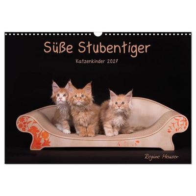 Süße Stubentiger - Katzenkinder (Wandkalender 2027 DIN A3 quer), CALVENDO Monatskalender