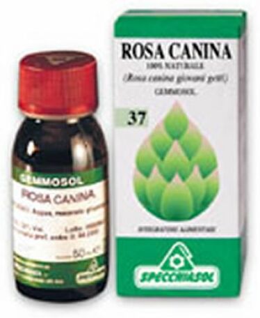 SPECCHIASOL Srl ROSA CANINA  MG 1DH   50ml