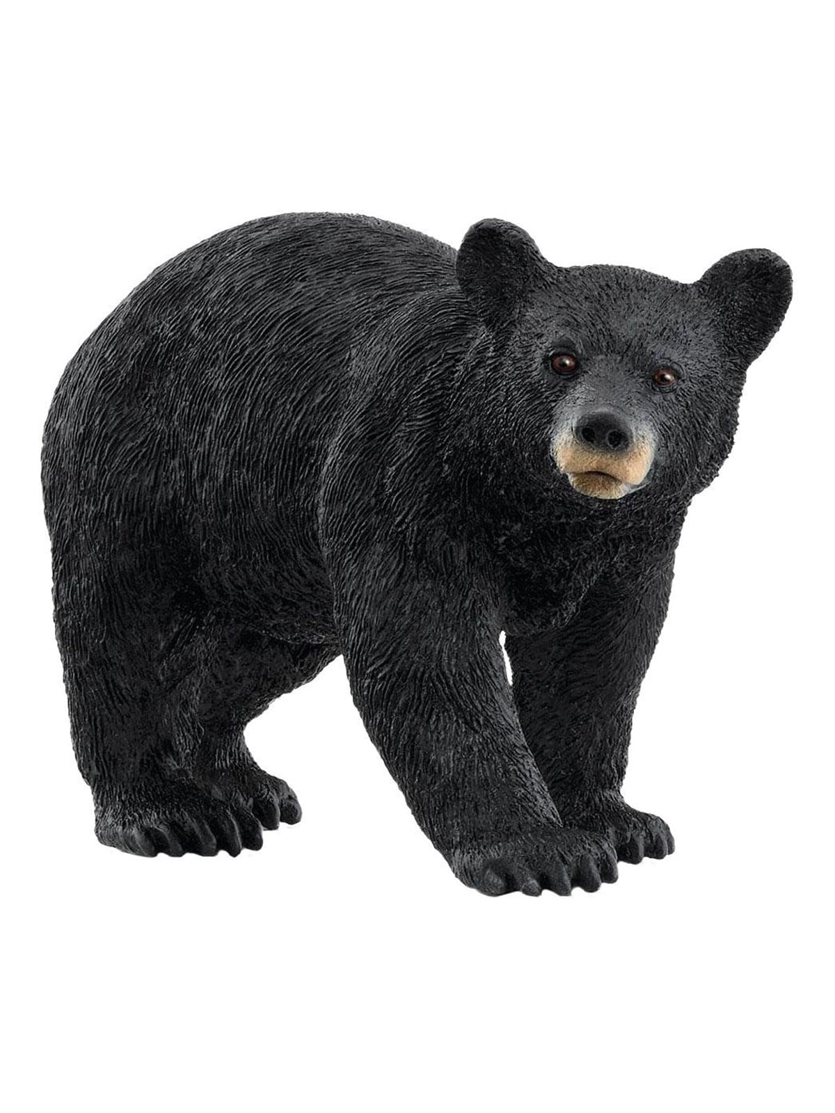 Schleich American Black Bear
