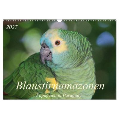 Blaustirnamazonen - Papageien in Paraguay (Wandkalender 2027 DIN A3 quer), CALVENDO Monatskalender