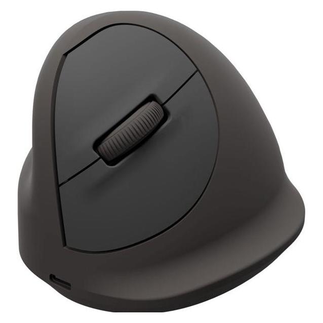 Fellowes Breyta Plus+ Ergonomische Maus (Kabelgebunden, Kabellos) (100143583)