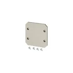 Hensel 62000257 Montageplatte aus Isolierstoff 4 mm stark, für EB 06.. Leergehäuse EB MP 06