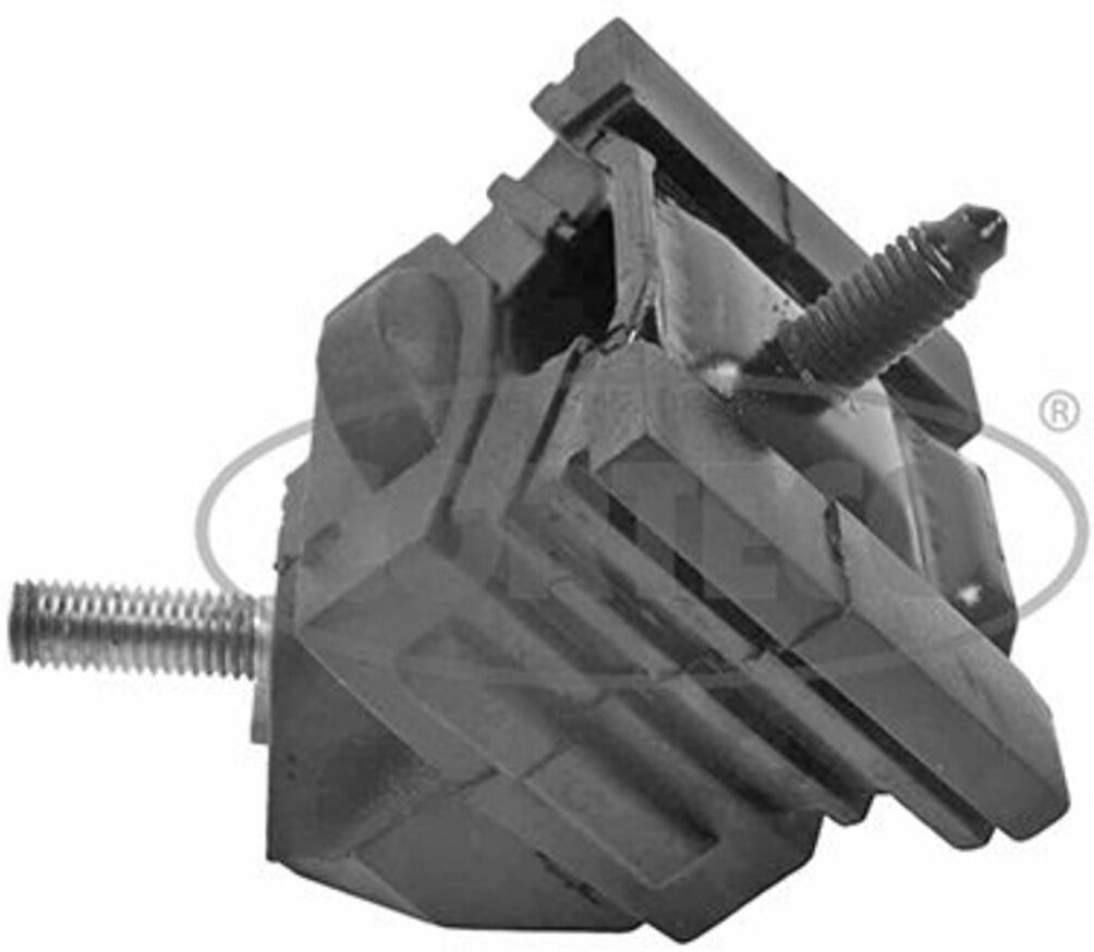 Corteco Cuscinetti, motore 80001950