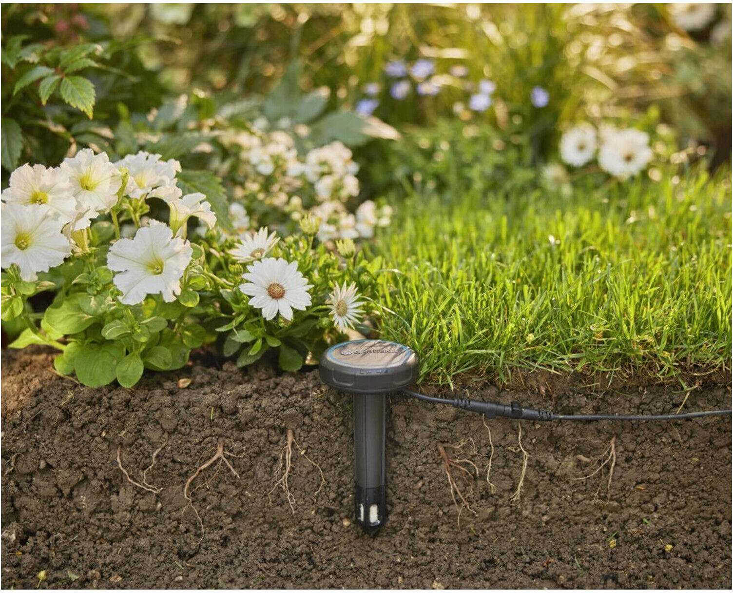 Gardena Bodenfeuchtesensor (01867-20)