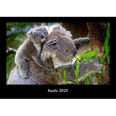 Koala 2025 Fotokalender DIN A3