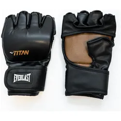 Everlast, Boxhandschuhe, (L, XL)
