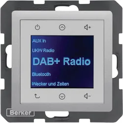 Berker 29846084 Radio DAB+, Q.x alu