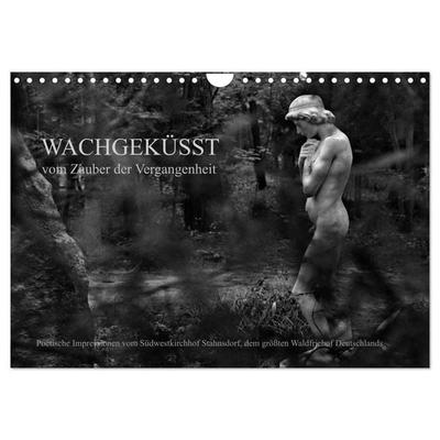 Wachgeküsst - Vom Zauber der Vergangenheit - Südwestkirchhof Stahnsdorf (Wandkalender 2027 DIN A4 quer), CALVENDO Monatskalender
