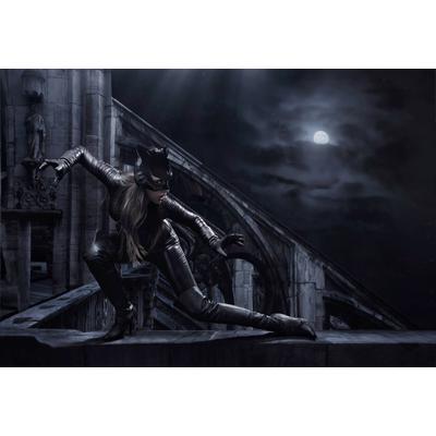 Fototapete PAPERMOON "CAT WOMAN-SUPERHELDIN II", bunt, B:4m L:2,6m, Vlies, Tapeten