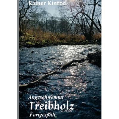 Angeschwemmt - Treibholz, Taschenbuch von Rainer Kintzel, Tredition, 978-3-7482-0401-5