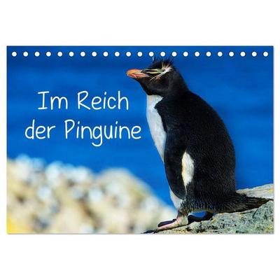 Im Reich der Pinguine (Tischkalender 2027 DIN A5 quer), CALVENDO Monatskalender