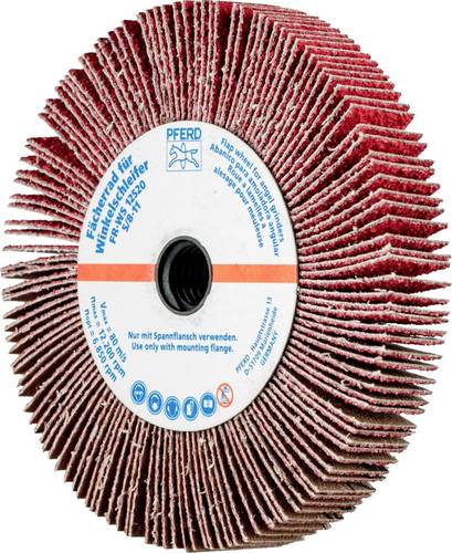 PFERD TOOLS 44782804 Fächerrad Durchmesser 125mm 2St.