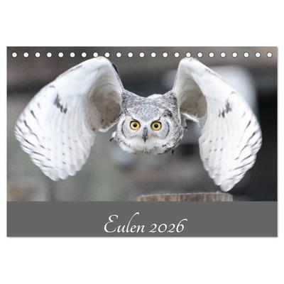 Eulen 2026 (Tischkalender 2026 DIN A5 quer), CALVENDO Monatskalender
