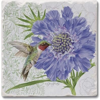 Counterart Absorbent Stone Beverage Coasters - Set of 4 - Scabiosa - Multi-154