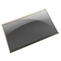 Dell JCGRY Laptop Display Schwarz 1 St.