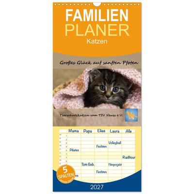 Familienplaner 2027 - Tierschutzkatzen vom TSV-Neuss - Großes Glück auf sanften Pfoten mit 5 Spalten (Wandkalender, 21 x 45 cm) CALVENDO