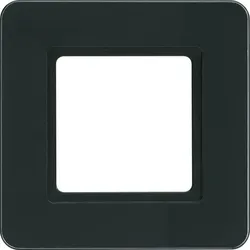 Berker Rahmen 1-fach glas-schwarz LED-Beleuchtung 10116176