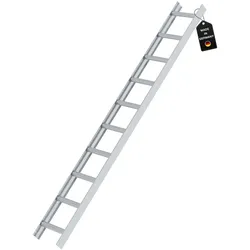 PROREGAL Dachleiter Alu Natur 10 Sprossen