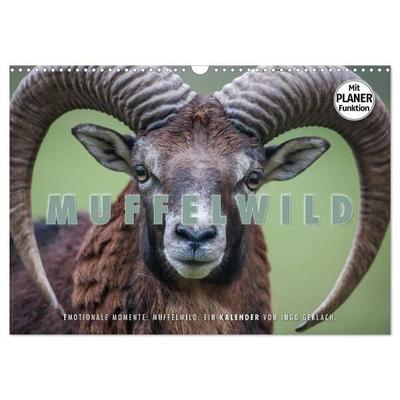 Emotionale Momente: Muffelwild. (Wandkalender 2026 DIN A3 quer), CALVENDO Monatskalender