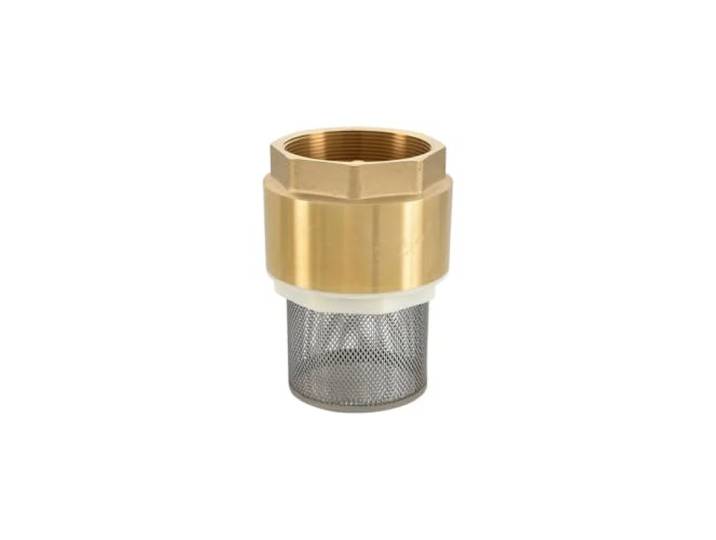 Fußventil mit Sieb, Filterrückschlagventil aus Messing 1 ,1-1/2 ,2 ,2-1/2 ,3 ,Anschlüsse for Wasserpumpensysteme(3 inch)