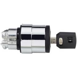 Schneider Electric ZB4BG3K4241A Frontelement 100 St.