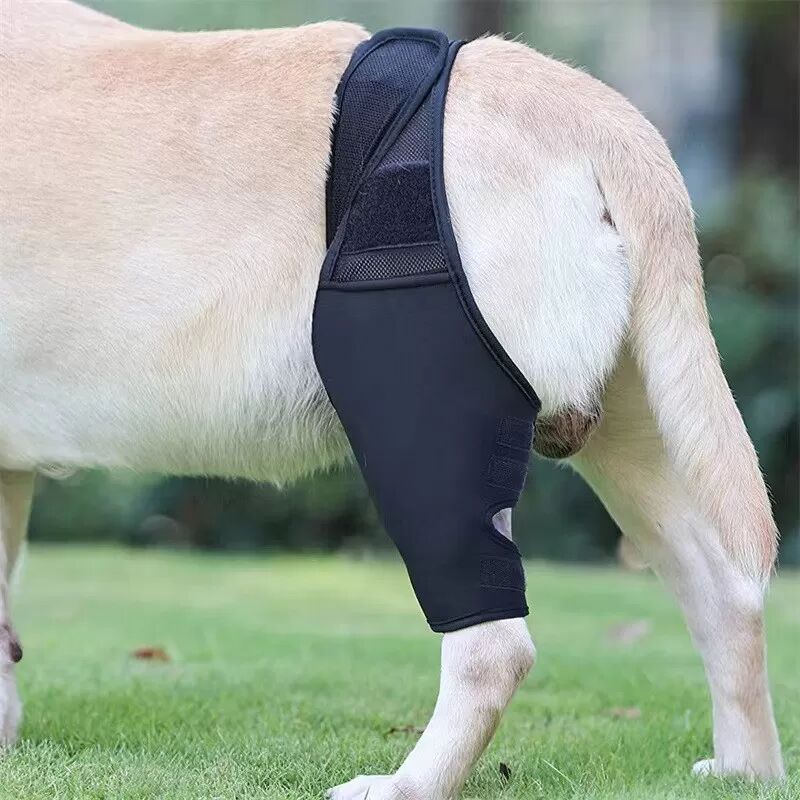 INF Beinstütze für Hunde – Atmungsaktive Kniestütze zur Frakturheilung S