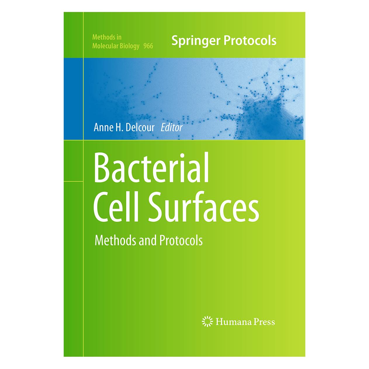 Springer Bacterial Cell Surfaces (Englisch, Softcover, Anne H. Delcour) (55965862)
