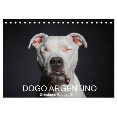 DOGO ARGENTINO (Tischkalender 2026 DIN A5 quer), CALVENDO Monatskalender
