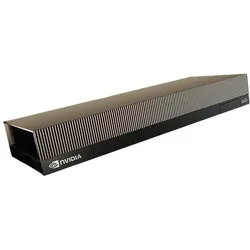 Nvidia RTX PRO 6000 Blackwell Server Edition (96 GB, GDDR7), Grafikkarte, Schwarz, Silber