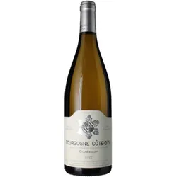 Bourgogne Chardonnay Côte d'Or 2022 - Domaine Bzikot Père et Fils