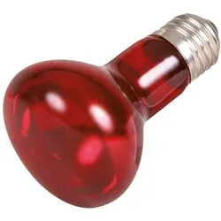 3x Trixie Infrarot Wärme-Spotlampe, Terrariumeinrichtung