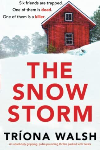 Tríona Walsh - The Snowstorm: An absolutely gripping, pulse-pounding thriller packed with twists - Preis vom 09.10.2026 07:28:09 h