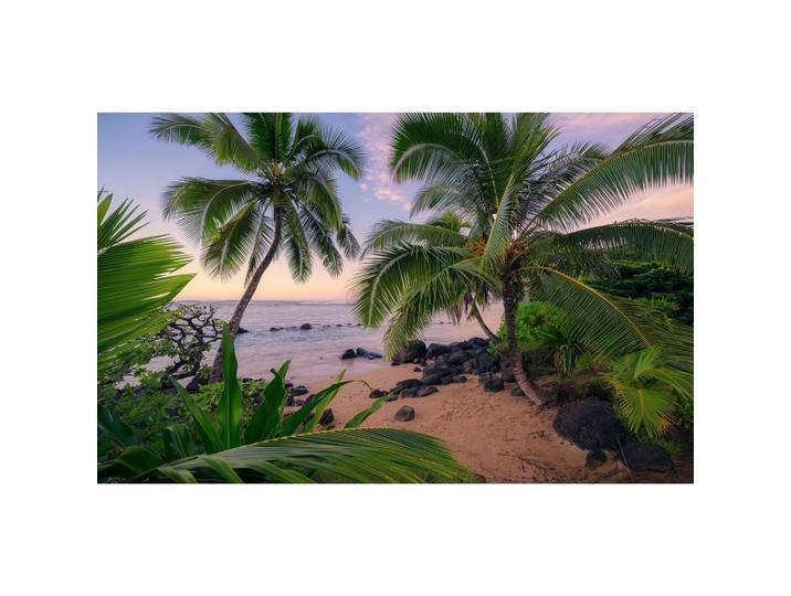 FOTOTAPETE HAWAIIAN DREAMS