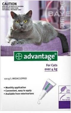 Advantage Cats Over 10lbs (Purple) 6 + 2 Doses Free